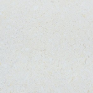 비앙코 벨로(premium)
